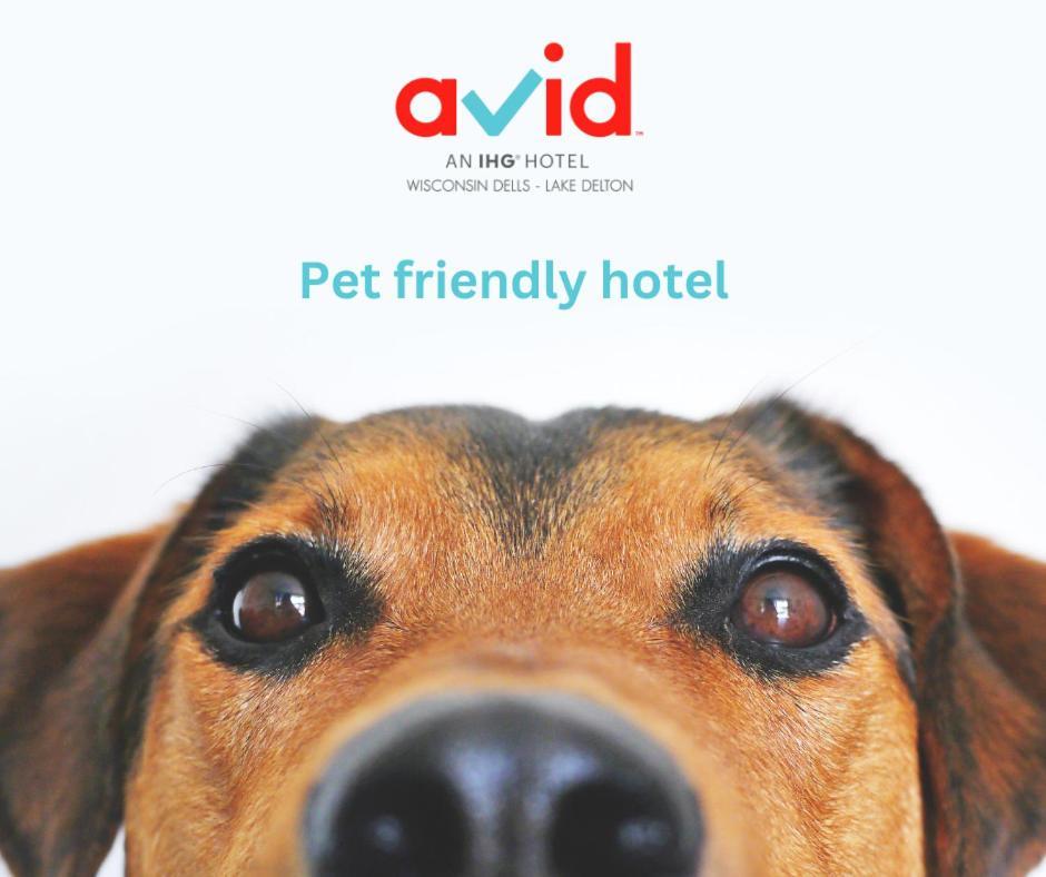 Avid Wisconsin Dells Delton By Ihg 2* Lake Delton